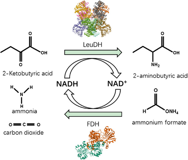 Figure 11