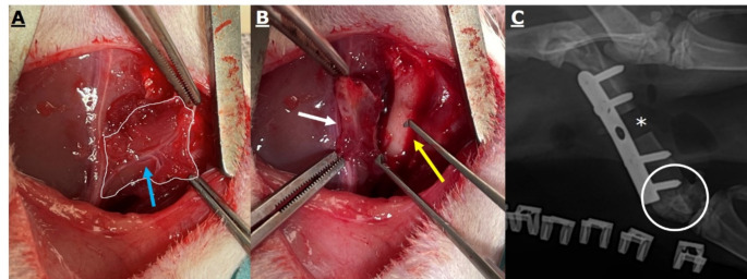 Figure 18