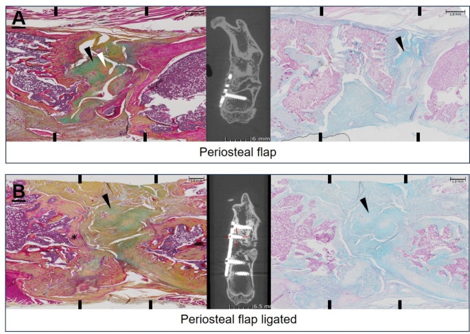 Figure 21