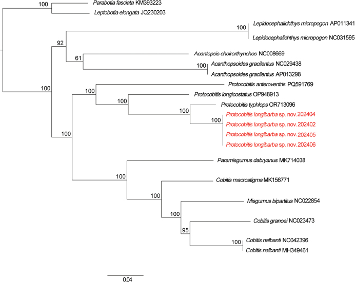 Figure 4