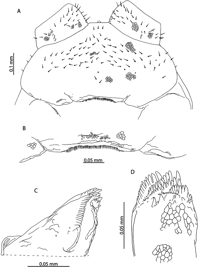 Figure 13