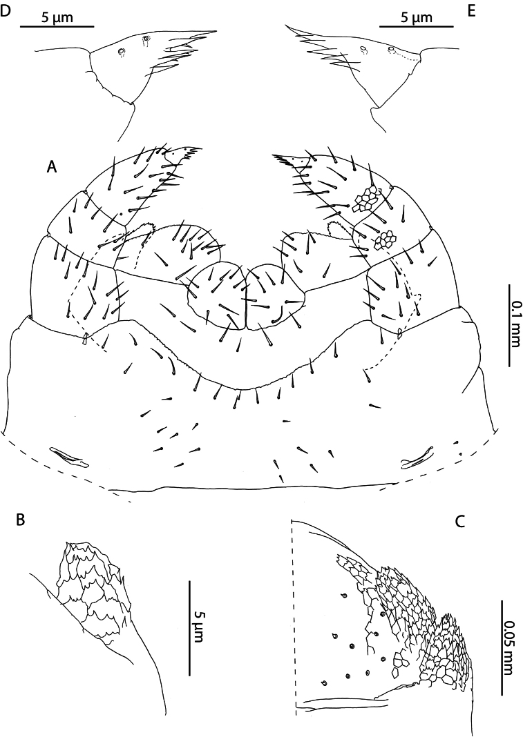 Figure 14