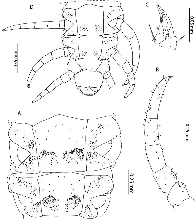 Figure 15