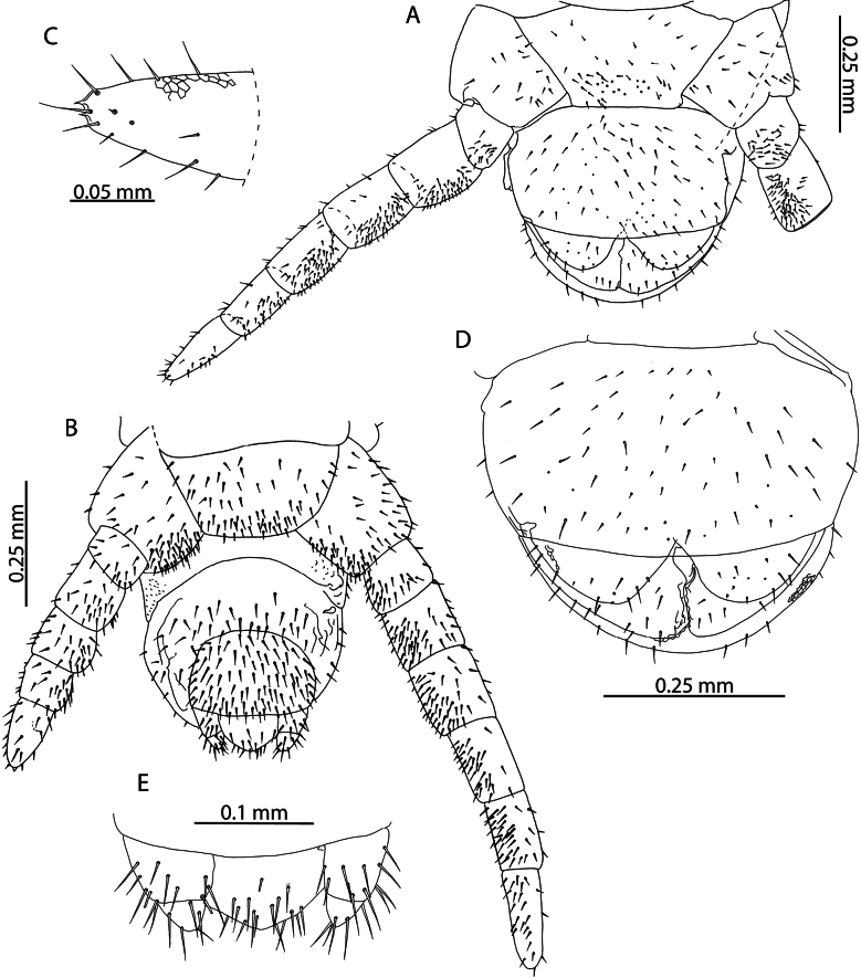 Figure 16