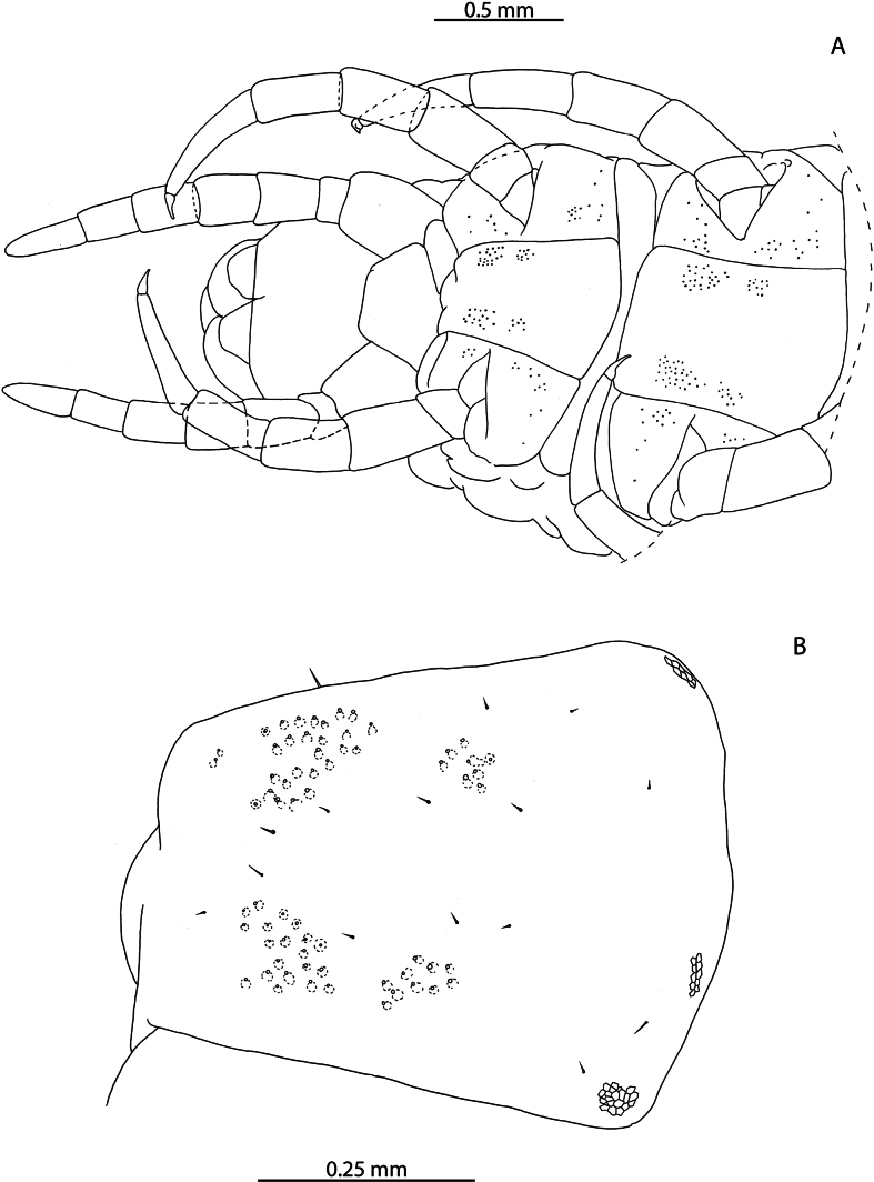 Figure 17