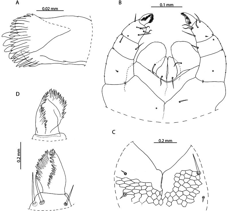 Figure 21