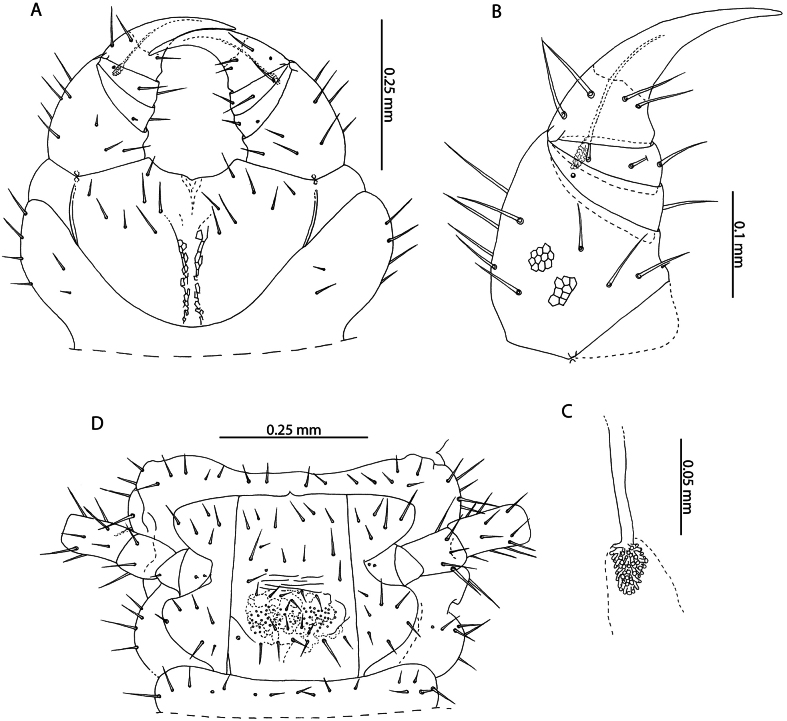 Figure 22