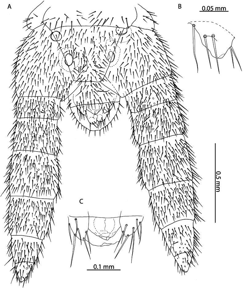 Figure 23