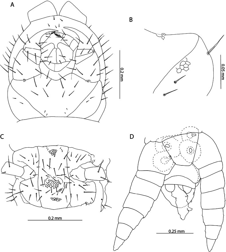 Figure 24