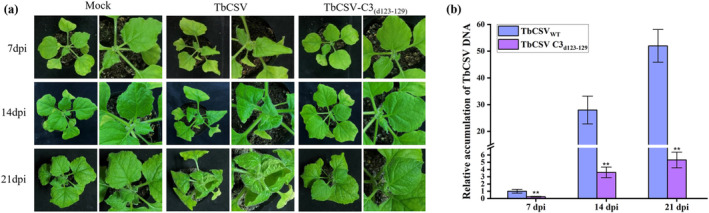 FIGURE 4