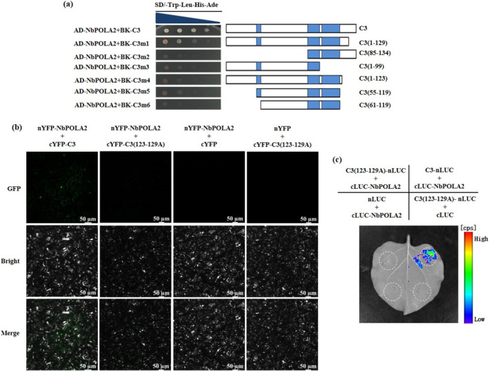 FIGURE 6