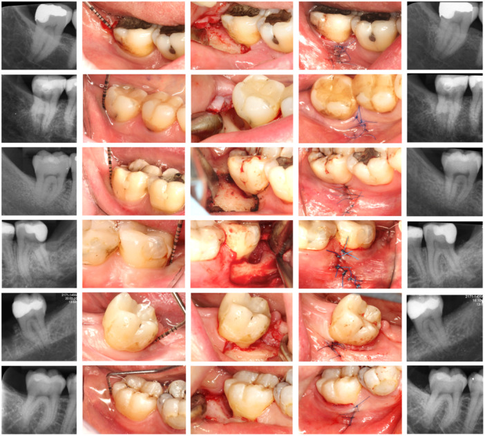 Figure 6