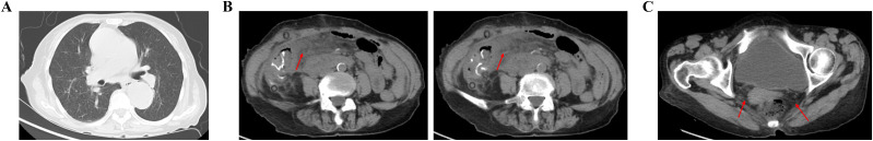 Figure 3