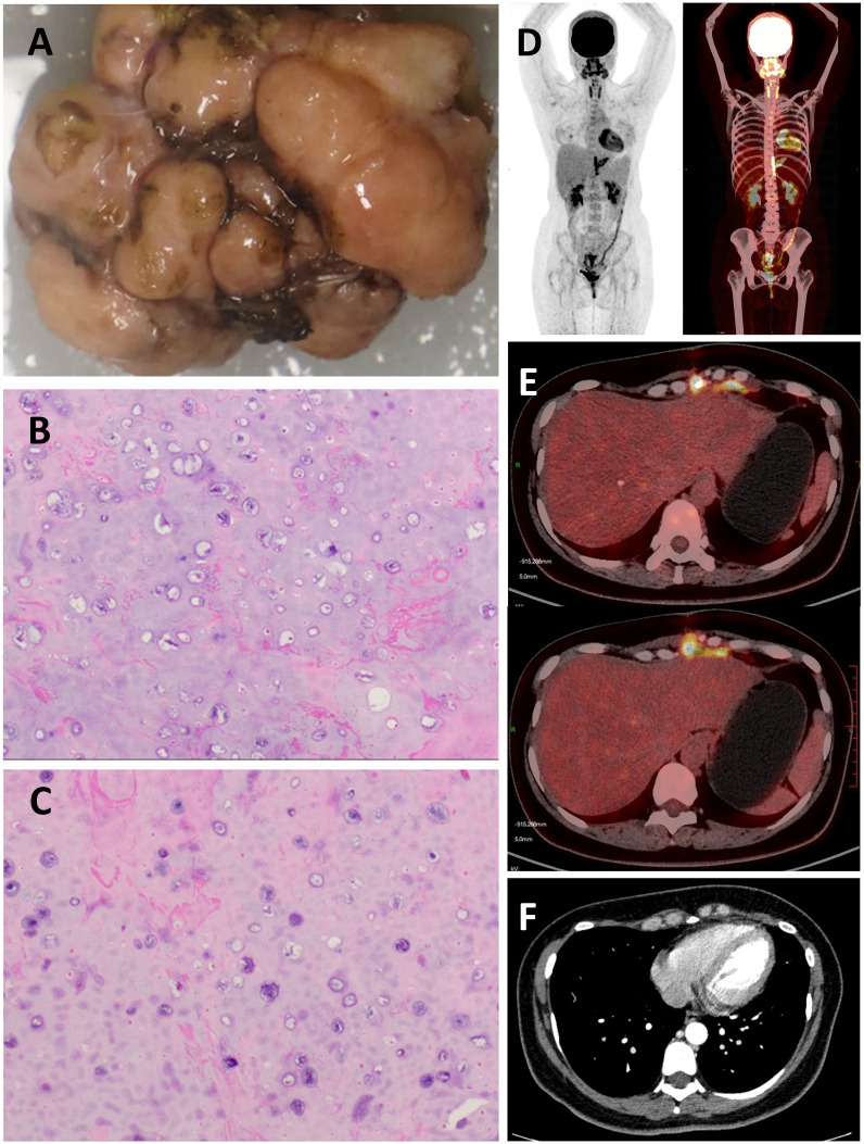 Figure 3