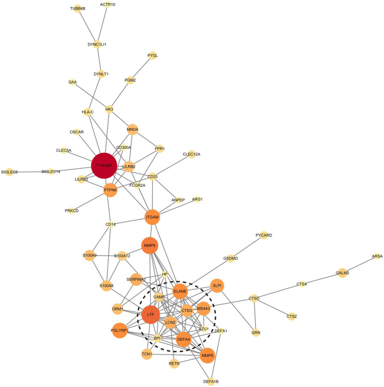 Figure 4