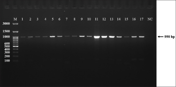 Figure-3