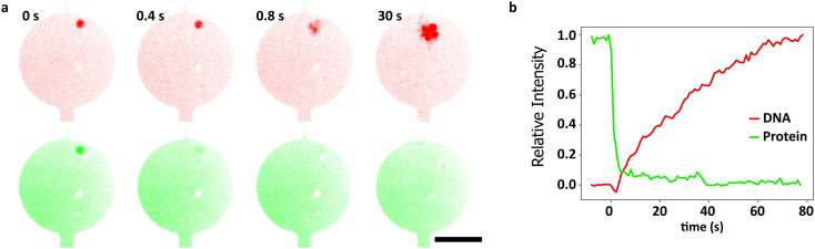 Fig. 3