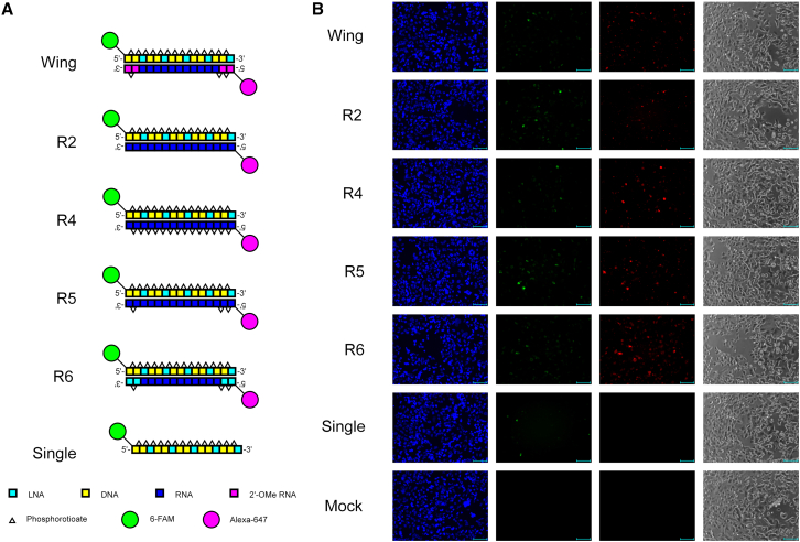 Figure 4