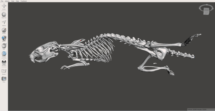 Figure 2