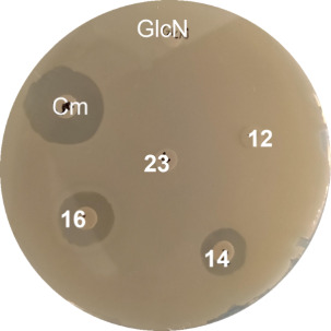 Figure 2