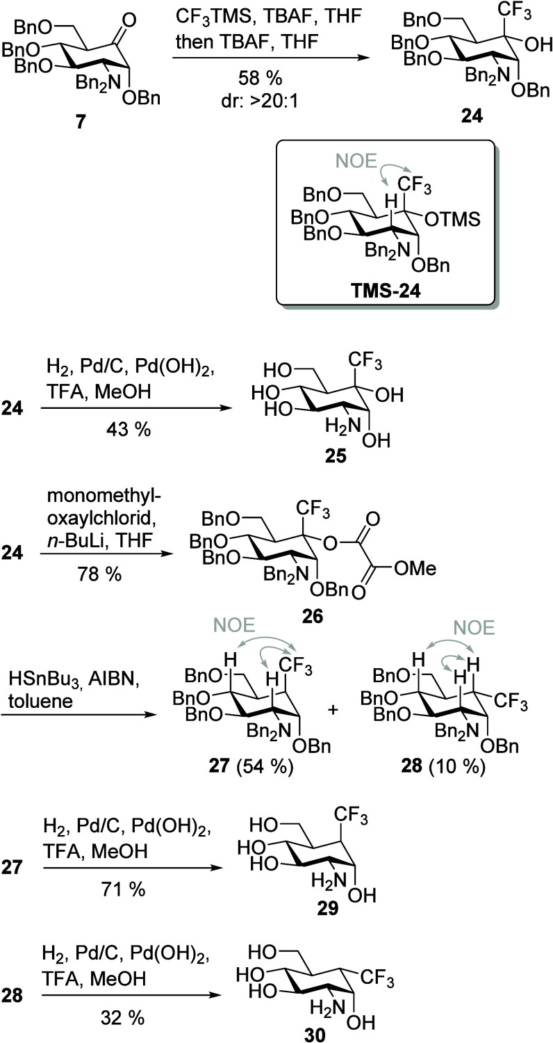 Scheme 3