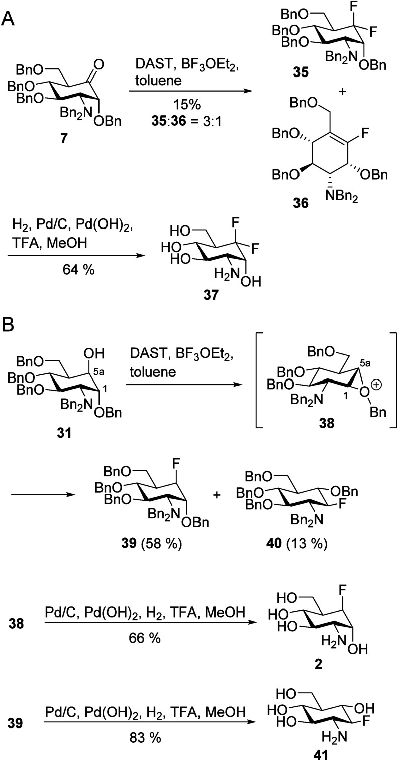 Scheme 5