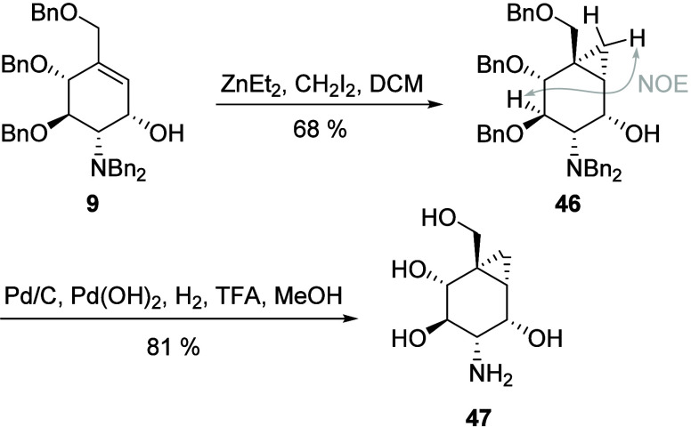 Scheme 7
