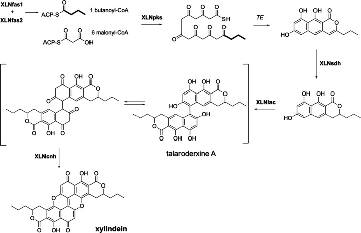 Figure 7