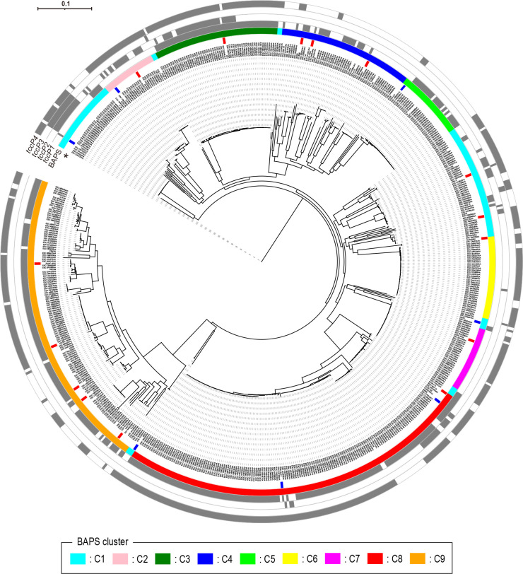 Fig 6
