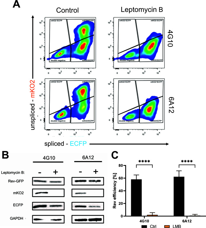 Fig 4
