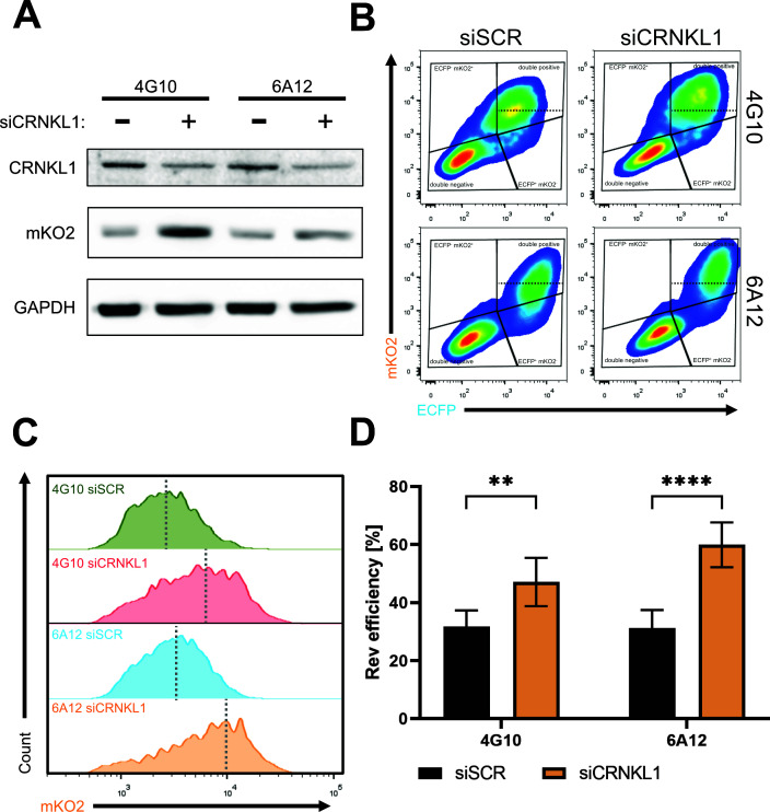 Fig 6