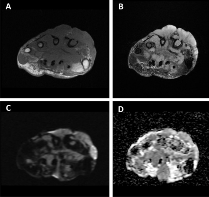 FIGURE 2