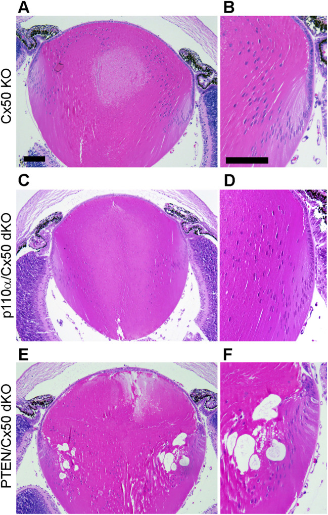 Figure 7