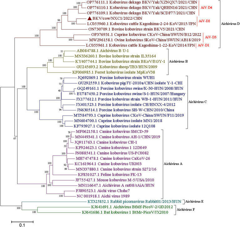 Figure 4