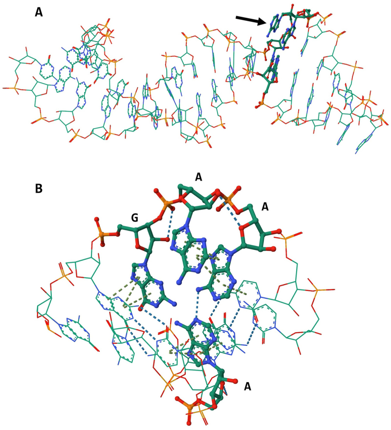 Figure 12