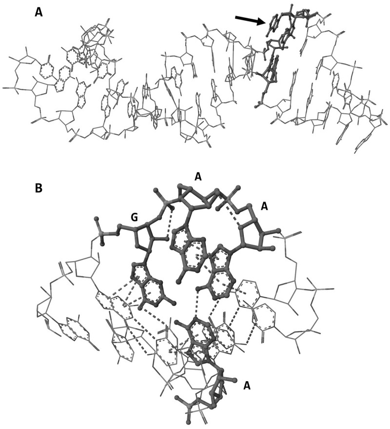 Figure 13