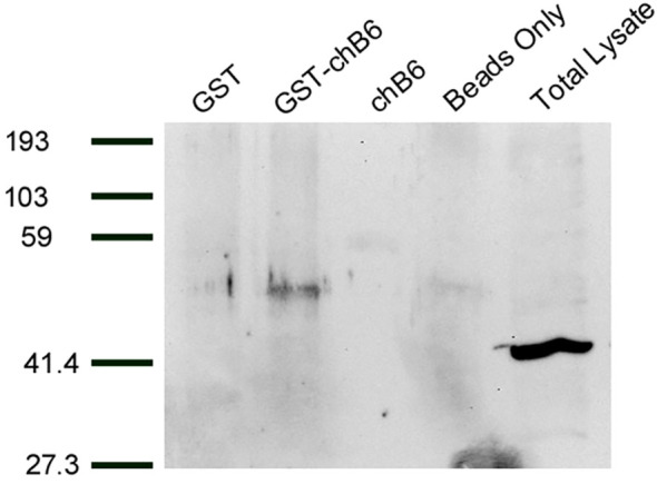 Figure 2