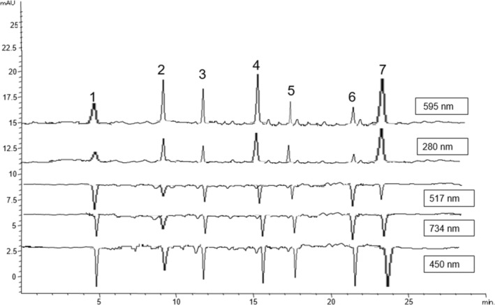 FIGURE 3