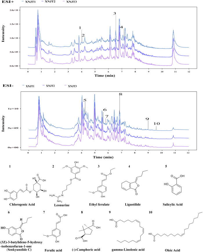 Figure 2