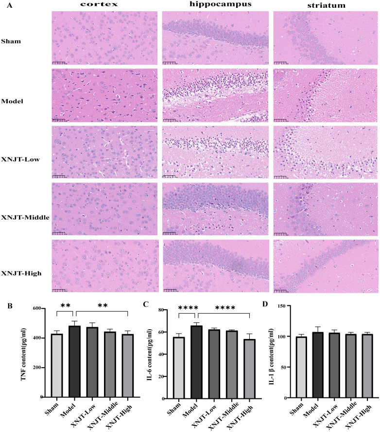 Figure 4
