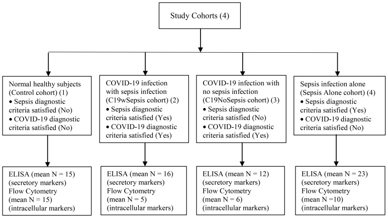 Figure 1
