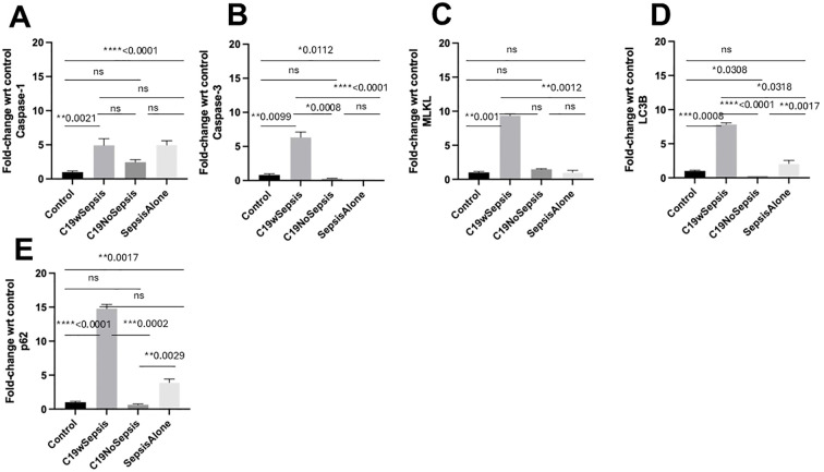 Figure 7