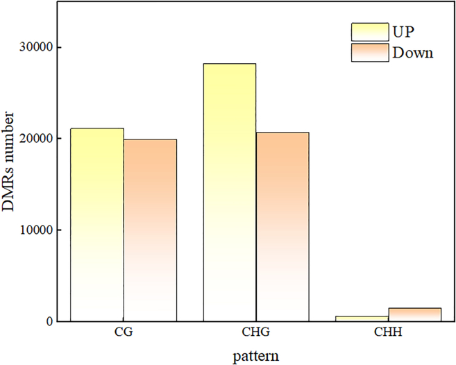 Figure 9