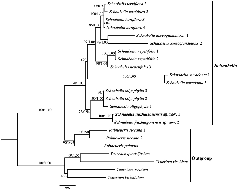 Figure 2