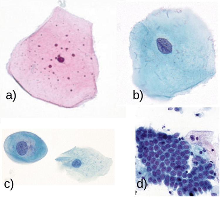 Figure 5