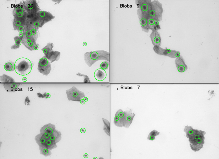 Figure 12