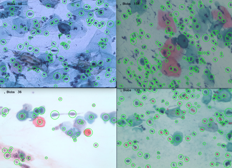 Figure 13