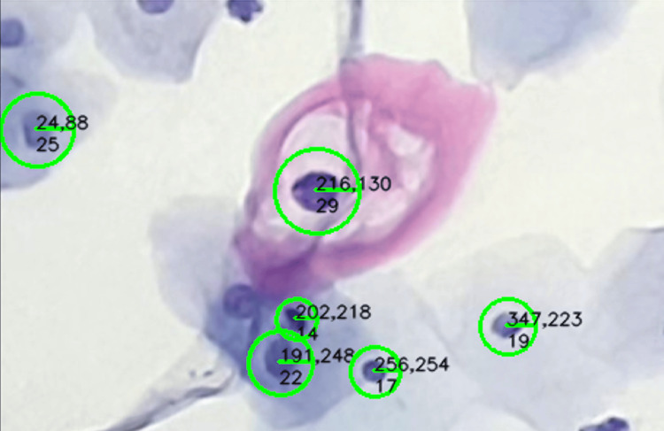 Figure 15