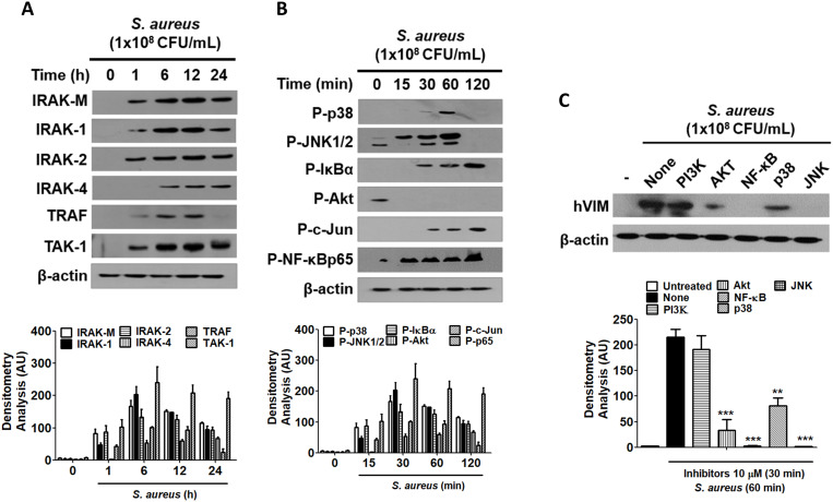 Figure 5