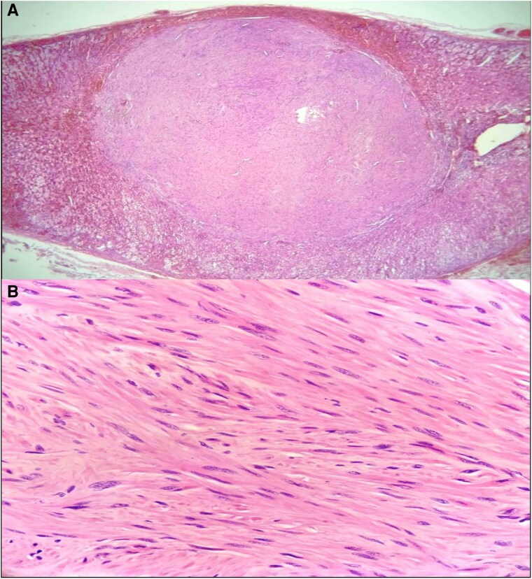 Figure 5